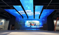 Flexible Led Display Solution